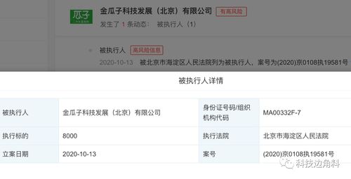 瓜子二手車成被執(zhí)行人，8000元執(zhí)行標的牽出技術開發(fā)糾紛